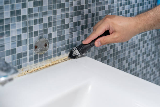 Best Best Mold Removal Companies  in La Selva Beach, CA